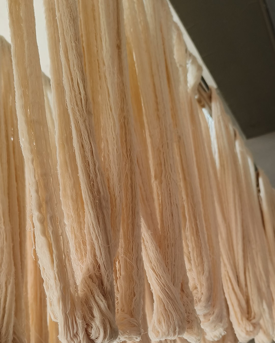 Hanks of undyed ivory cotton yarn hanging to dry